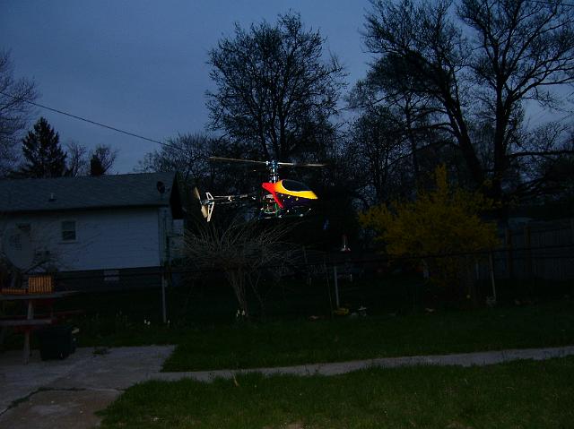 NewCanopy 012.jpg